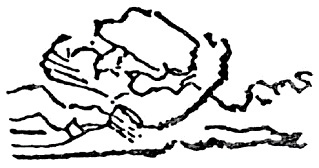 Иллюстрация к книге — Мы здесь эмигранты. Парижское таро [pic_2.jpg]