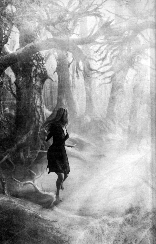 Иллюстрация к книге — Темные воспоминания. Страх огня [pic02.jpg]