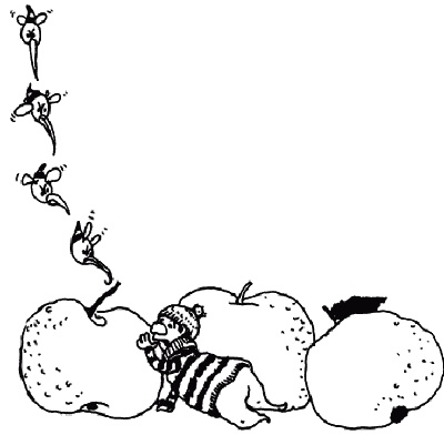 Иллюстрация к книге — Весь мир - чулан [i_020.jpg]