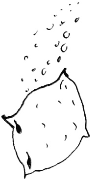 Иллюстрация к книге — Весь мир - чулан [i_052.jpg]