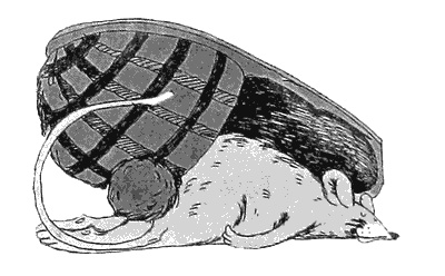 Иллюстрация к книге — Весь мир - чулан [i_091.jpg]