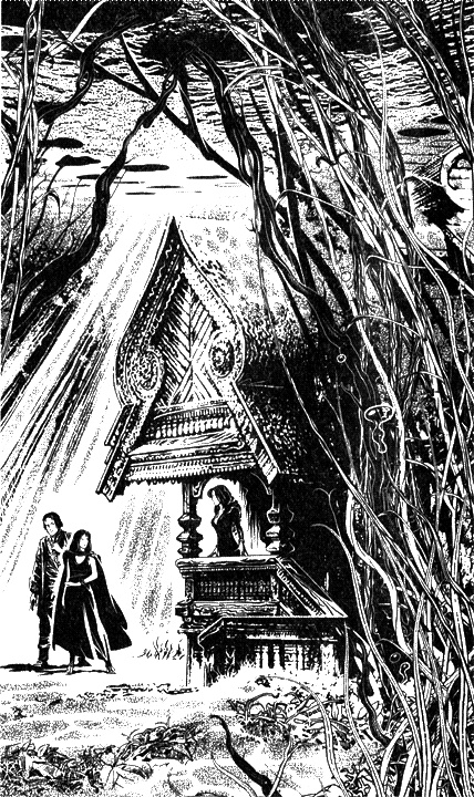 Иллюстрация к книге — И полцарства в придачу... [i_002.jpg]