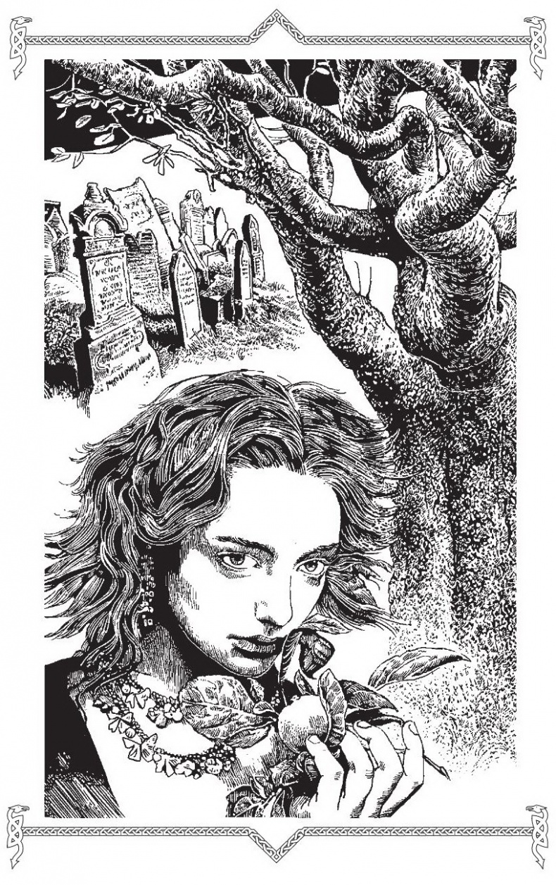 Иллюстрация к книге — Виолетта. Жила-была… лич [elena_karol_violetta_zhilabyla_lich_002.jpg]