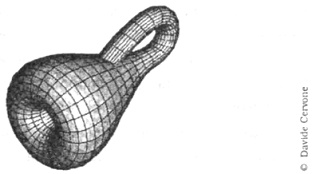 Иллюстрация к книге — Амариллис день и ночь [pic_1.jpg]