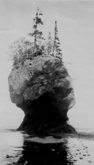 Иллюстрация к книге — Город Пустых. Побег из дома странных детей [i_018.jpg]