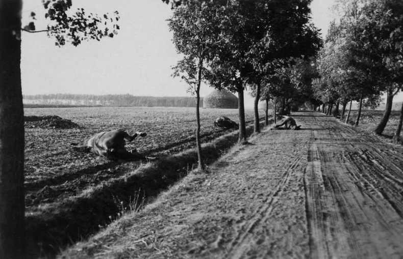 Иллюстрация к книге — Город Пустых. Побег из дома странных детей [i_033.jpg]