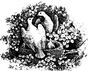 Иллюстрация к книге — Противостояние [i_016.jpg]