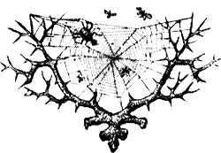 Иллюстрация к книге — Противостояние [i_017.jpg]