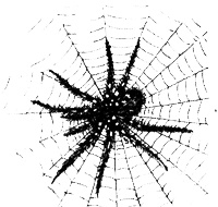 Иллюстрация к книге — Противостояние [i_030.jpg]