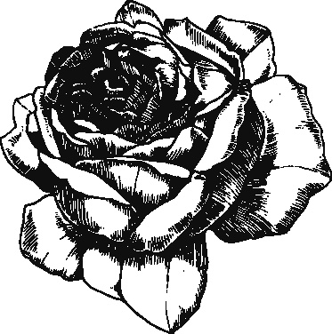 Иллюстрация к книге — Большая книга женской мудрости [_179.jpg]