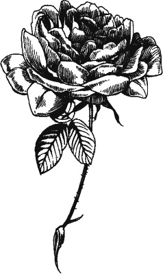 Иллюстрация к книге — Большая книга женской мудрости [_216.jpg]