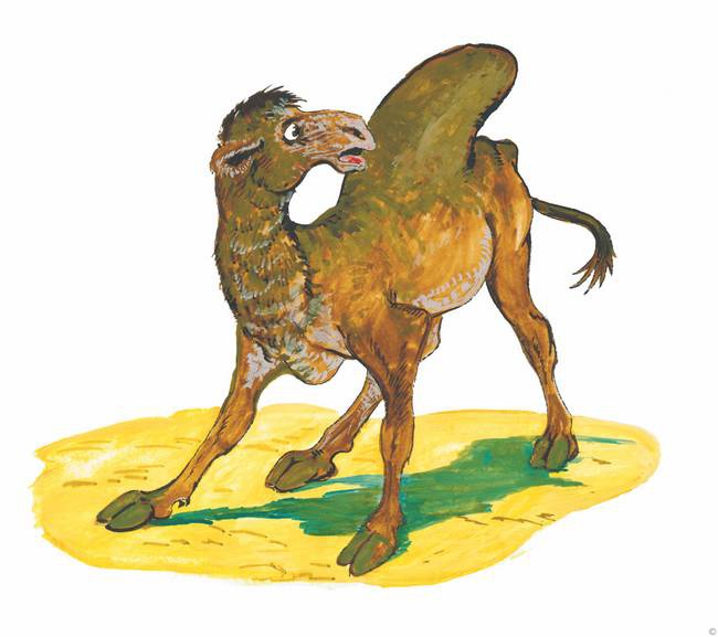 Иллюстрация к книге — Слоненок и другие сказки [i_015.jpg]