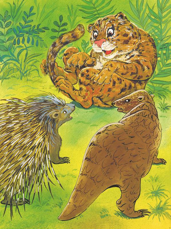 Иллюстрация к книге — Слоненок и другие сказки [i_021.jpg]