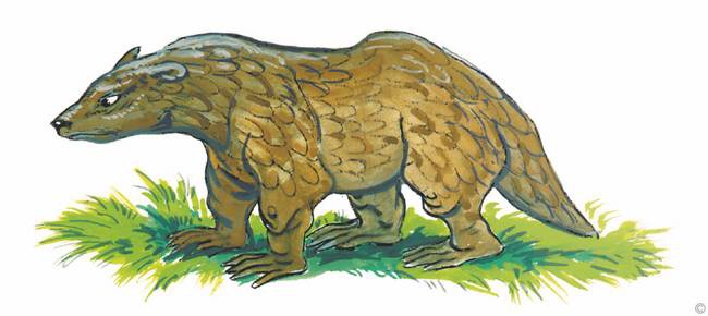 Иллюстрация к книге — Слоненок и другие сказки [i_022.jpg]