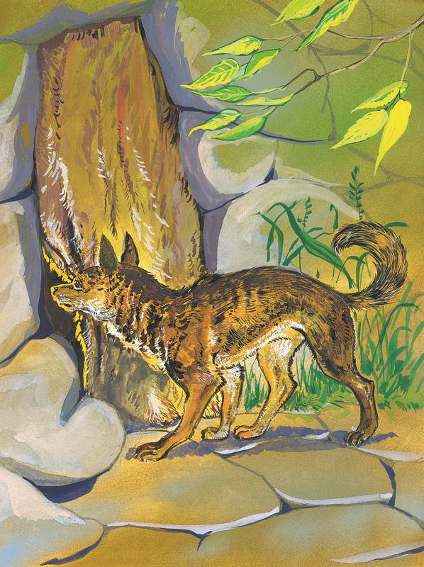 Иллюстрация к книге — Слоненок и другие сказки [i_029.jpg]