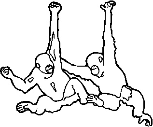 Иллюстрация к книге — Загадочное ночное убийство собаки [i_046.jpg]