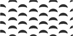 Иллюстрация к книге — Загадочное ночное убийство собаки [i_053.jpg]