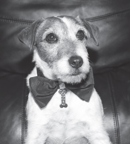 Иллюстрация к книге — Угги. Моя жизнь [Autogen_eBook_id1.jpg]