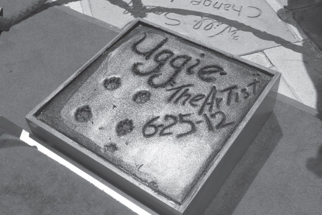 Иллюстрация к книге — Угги. Моя жизнь [Autogen_eBook_id104.jpg]