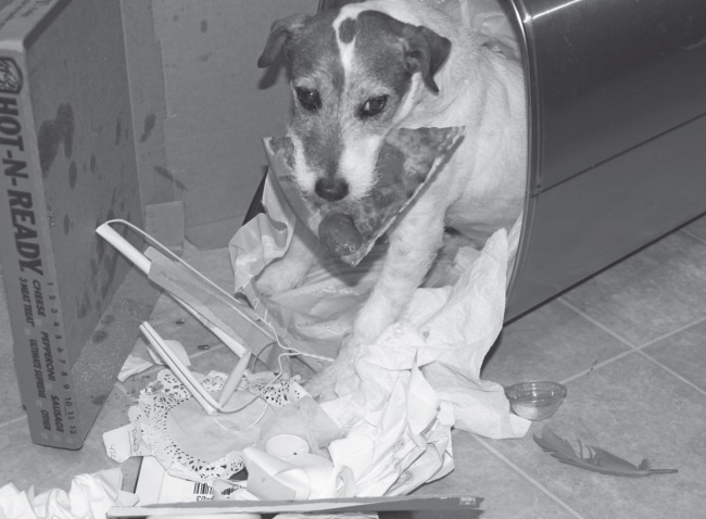 Иллюстрация к книге — Угги. Моя жизнь [Autogen_eBook_id11.jpg]