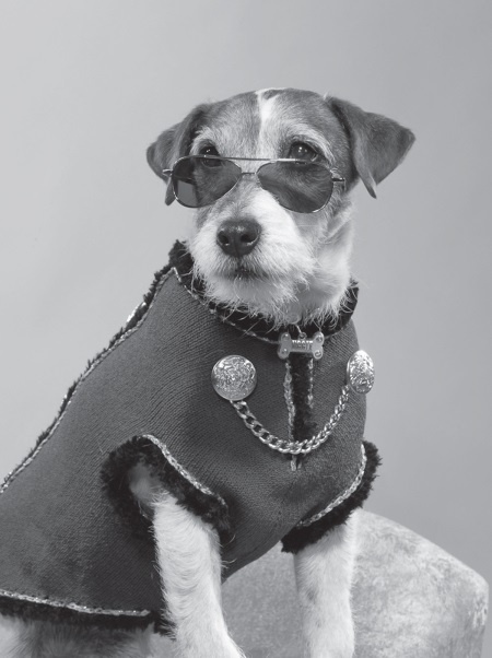 Иллюстрация к книге — Угги. Моя жизнь [Autogen_eBook_id27.jpg]