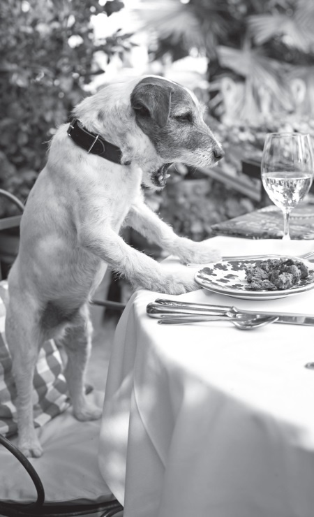 Иллюстрация к книге — Угги. Моя жизнь [Autogen_eBook_id33.jpg]