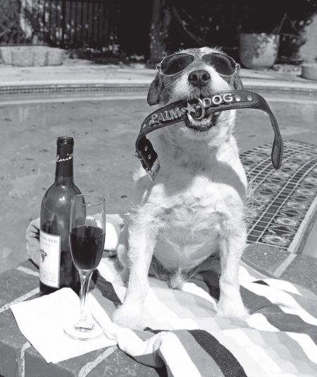 Иллюстрация к книге — Угги. Моя жизнь [Autogen_eBook_id69.jpg]