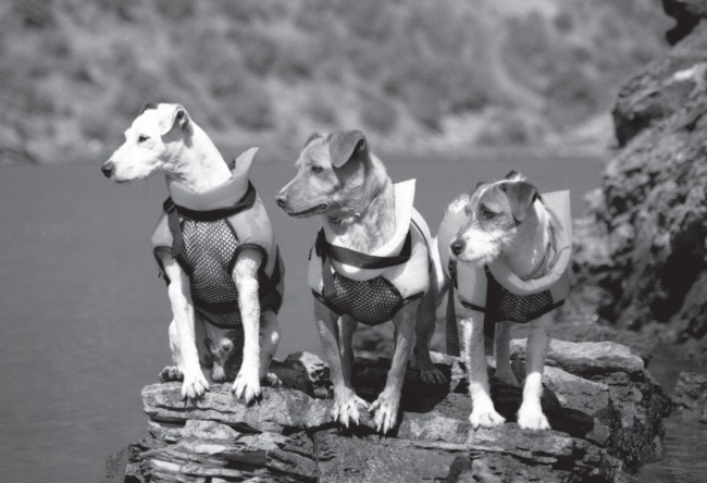 Иллюстрация к книге — Угги. Моя жизнь [Autogen_eBook_id7.jpg]