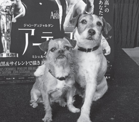 Иллюстрация к книге — Угги. Моя жизнь [Autogen_eBook_id94.jpg]