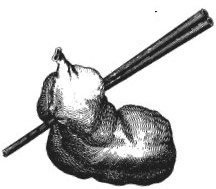 Иллюстрация к книге — Колобок и др. Кулинарные путешествия [i_004.jpg]