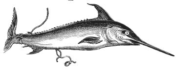 Иллюстрация к книге — Колобок и др. Кулинарные путешествия [i_005.jpg]