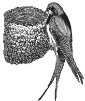 Иллюстрация к книге — Колобок и др. Кулинарные путешествия [i_011.jpg]