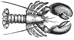 Иллюстрация к книге — Колобок и др. Кулинарные путешествия [i_018.jpg]