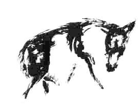 Иллюстрация к книге — Благоприятные приметы для охоты на какомицли [image011.jpg]