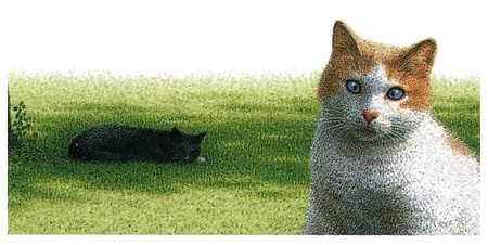 Иллюстрация к книге — Неро Корлеоне. Кошачья история [i_016.jpg]