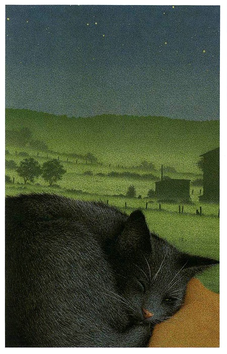 Иллюстрация к книге — Неро Корлеоне. Кошачья история [i_017.jpg]