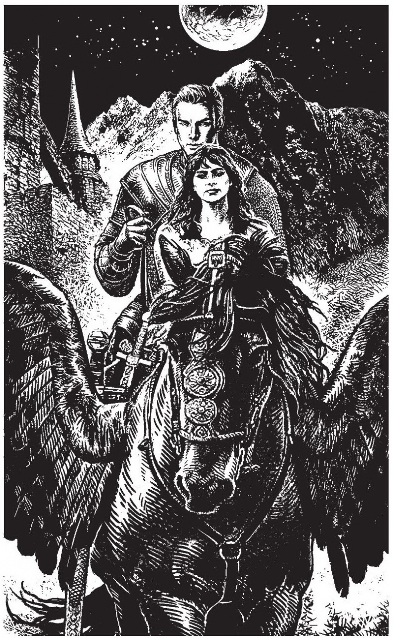 Иллюстрация к книге — Перехлестье [Perehles_002.jpg]