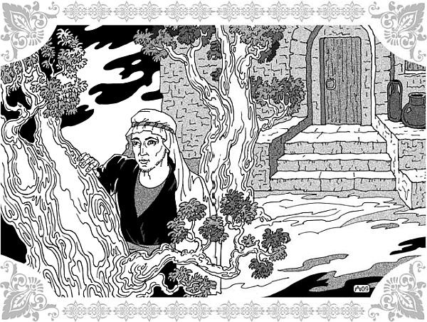 Иллюстрация к книге — Али-Баба и сорок разбойниц [_11.jpg]