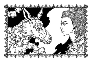 Иллюстрация к книге — Коварная любовь Джабиры [_18.jpg]