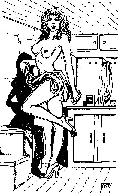 Иллюстрация к книге — Искушение [i_011.jpg]