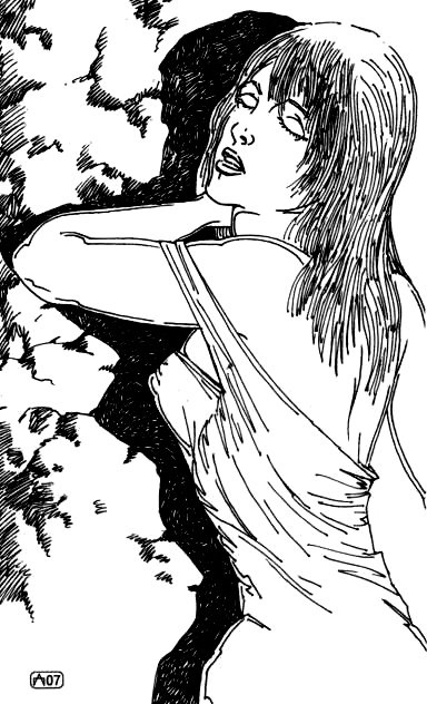 Иллюстрация к книге — Искушение [i_030.jpg]