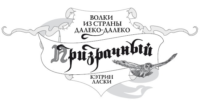 Иллюстрация к книге — Призрачный [i_001.jpg]