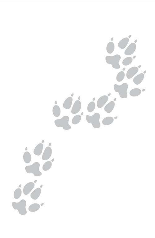 Иллюстрация к книге — Призрачный [i_010.jpg]