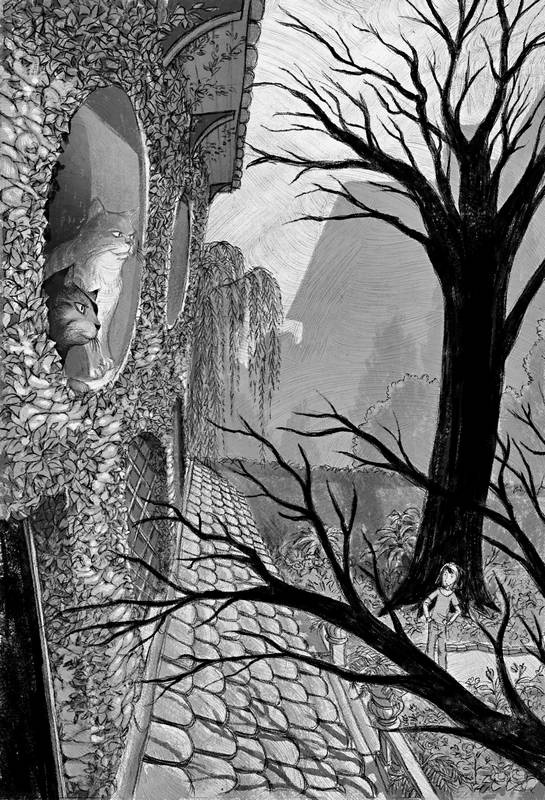 Иллюстрация к книге — Книга теней [i_007.jpg]