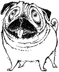 Иллюстрация к книге — Молли Мун и тайна превращения [i_001.jpg]