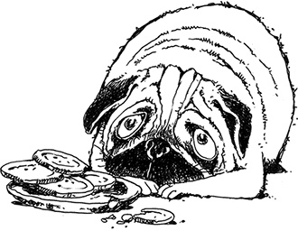 Иллюстрация к книге — Молли Мун и тайна превращения [i_002.jpg]