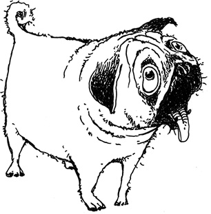 Иллюстрация к книге — Молли Мун и тайна превращения [i_004.jpg]