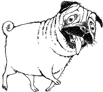 Иллюстрация к книге — Молли Мун и тайна превращения [i_005.jpg]