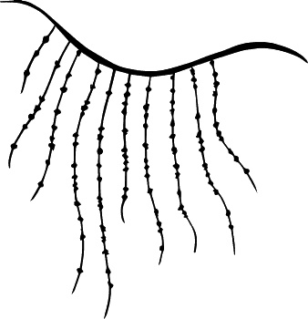 Иллюстрация к книге — Прыжок ягуара [_19.jpg]