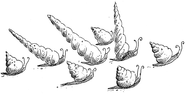 Иллюстрация к книге — Русалки с Рифа Морской Звезды [i_040.jpg]